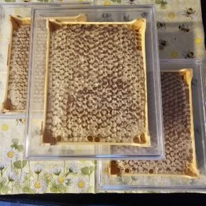 1000032003 Wabenhonig