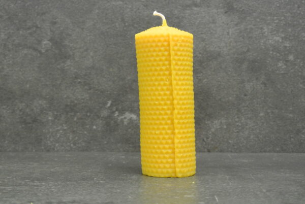 Waben-Stumpenkerze 140 mm x 50 mm