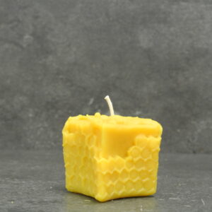 DSC_5727 Kerze- Würfel mit Biene 55 mm x 50 mm